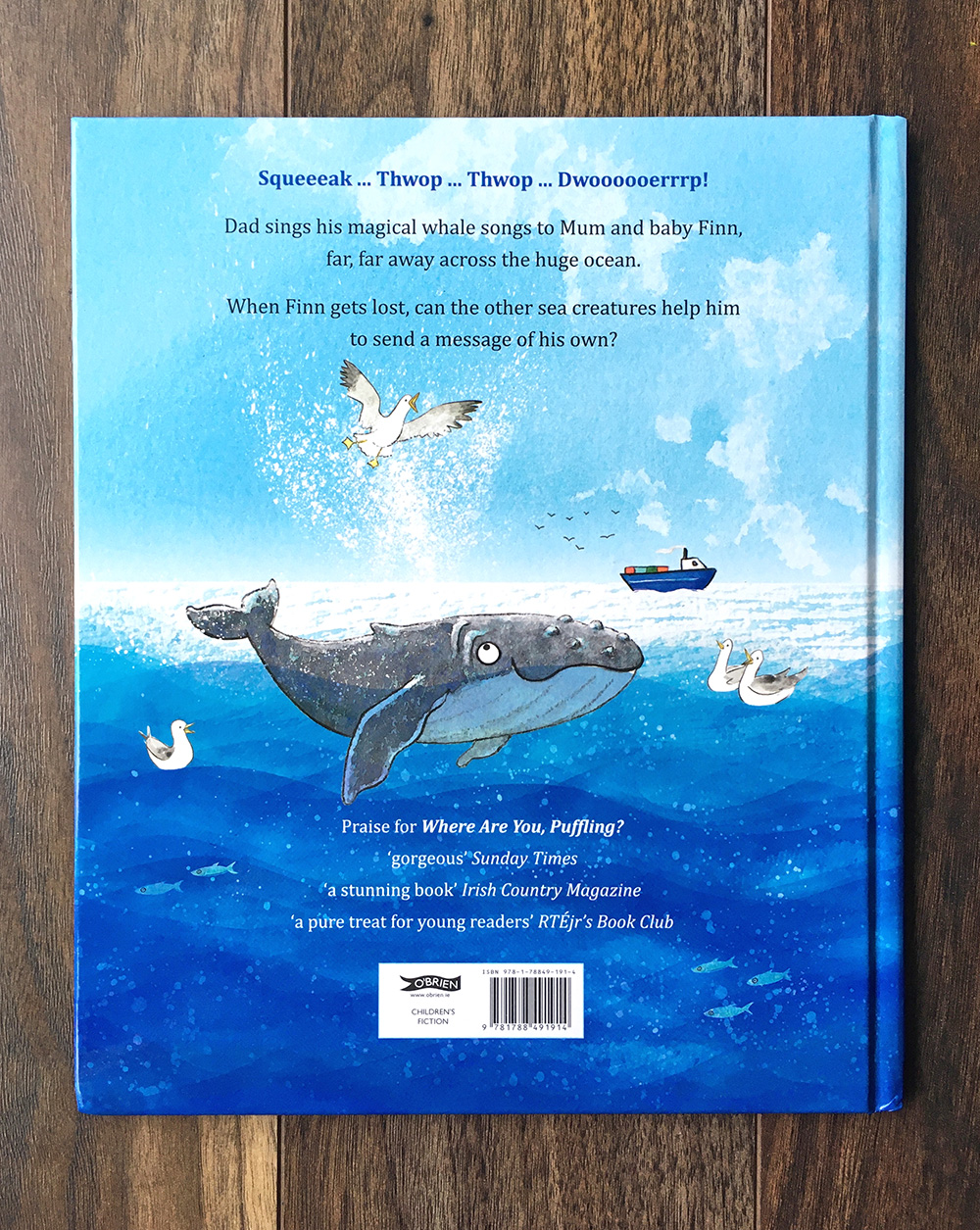 Finn's First Song back cover