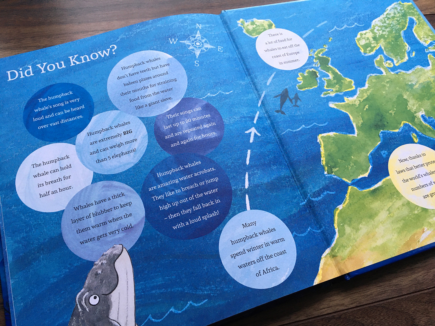 Finn's First Song, back endpaper. Some Humpback whale facts.
