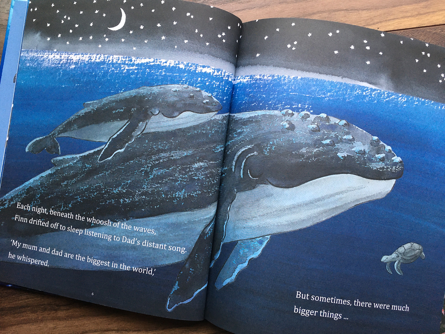 Finn's First Song, Finn and Mum are sleeping under the moon and stars