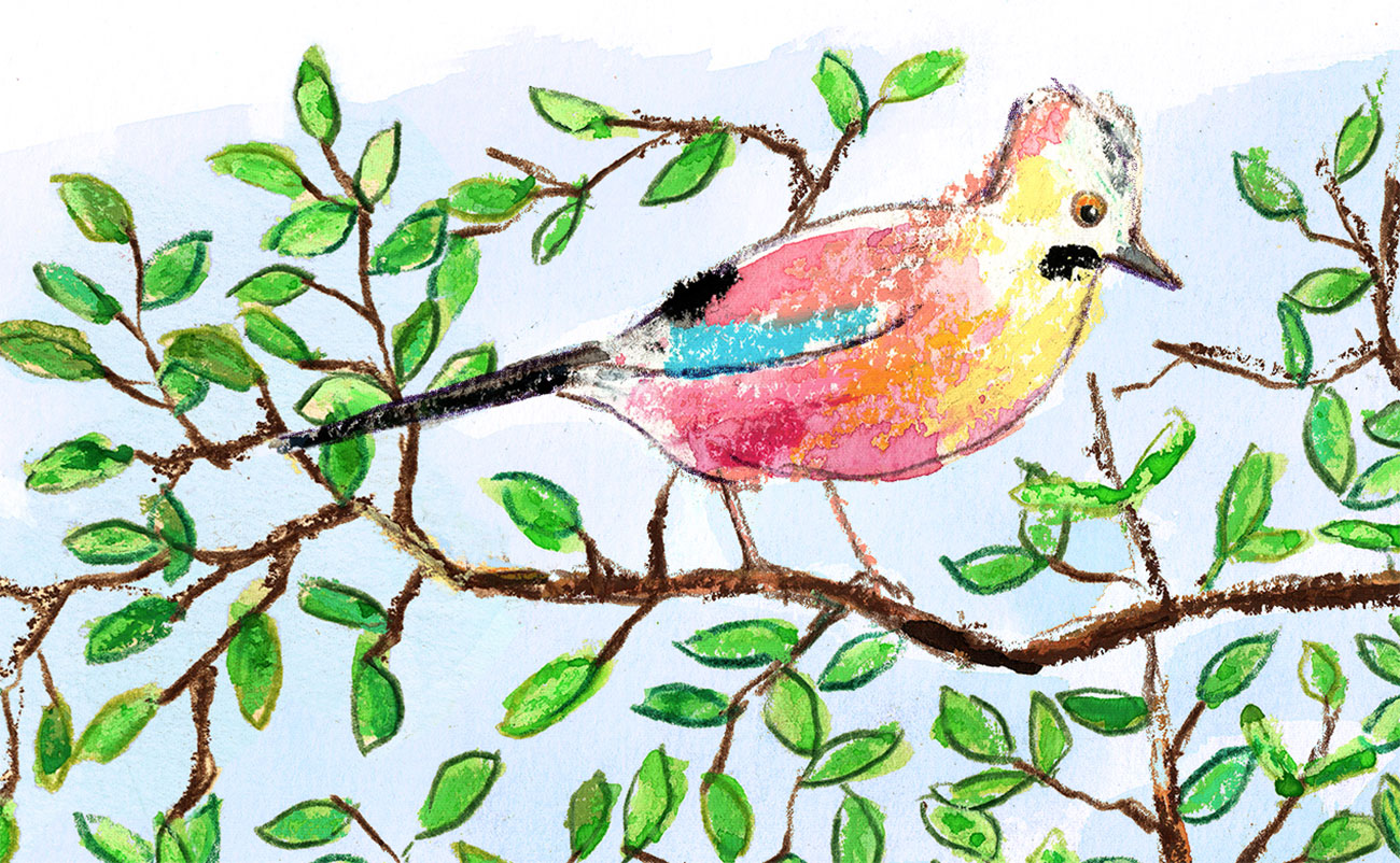 a tree with five Jay birds and one singing blackbird in the middle