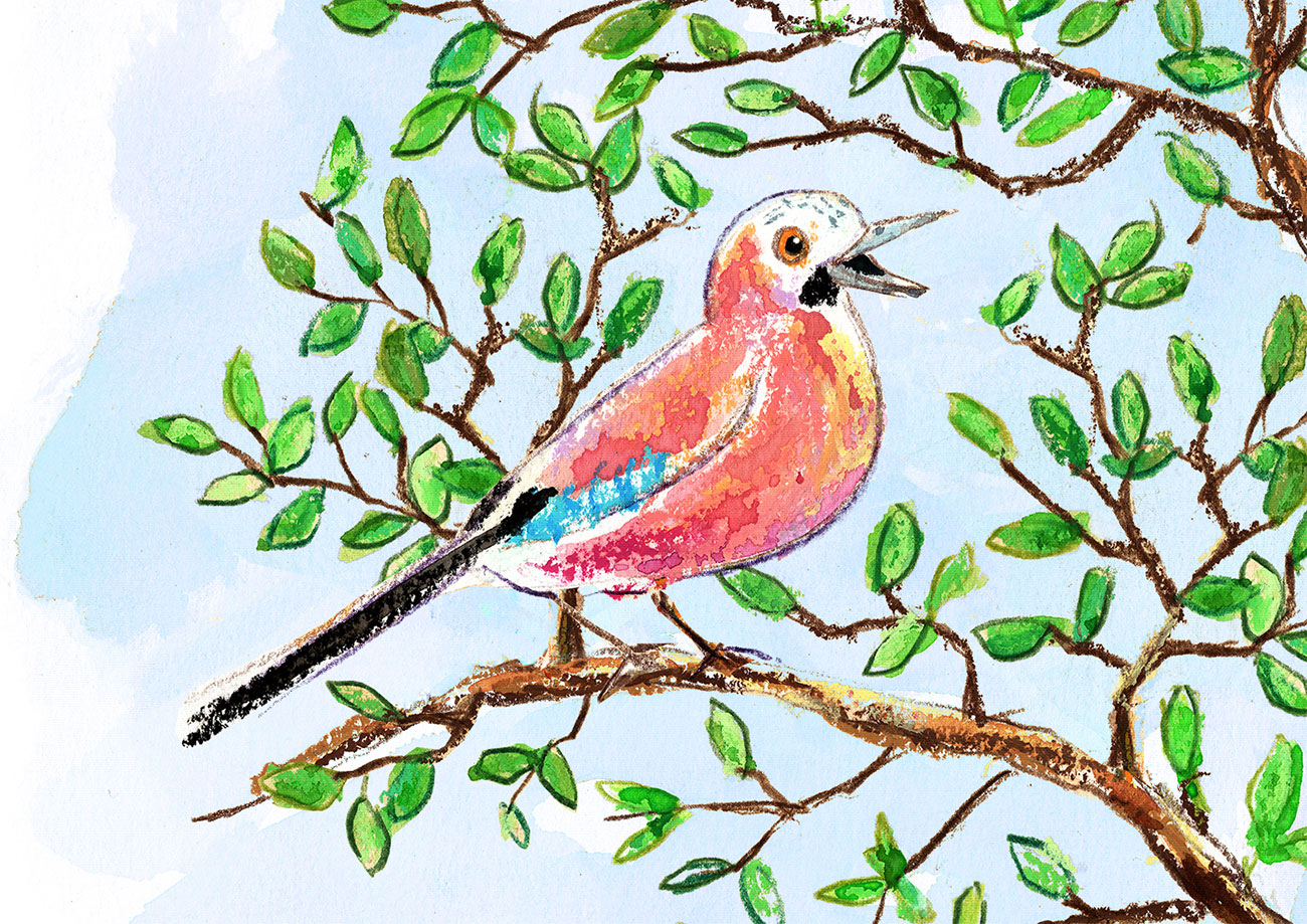a tree with five Jay birds and one singing blackbird in the middle
