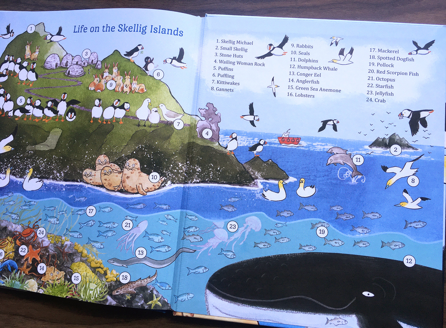 Where Are You Puffling? Life on the Skelligs Islands endpapers