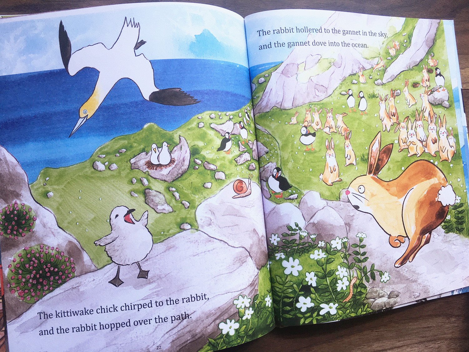 Where Are You Puffling? scene with kittiwake chick chirping at rabbit and gannet in the sky