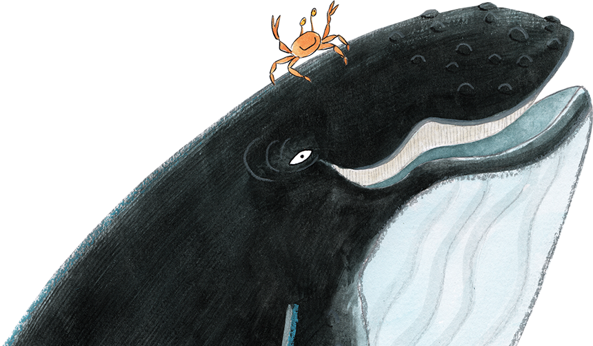 whale