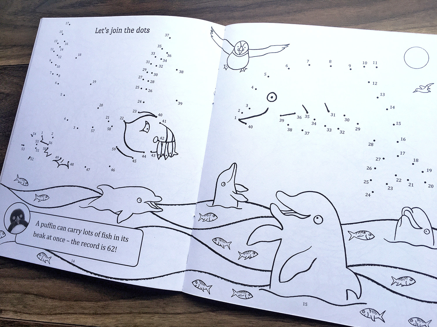 Where Are You Puffling? Dolphins Join the dots