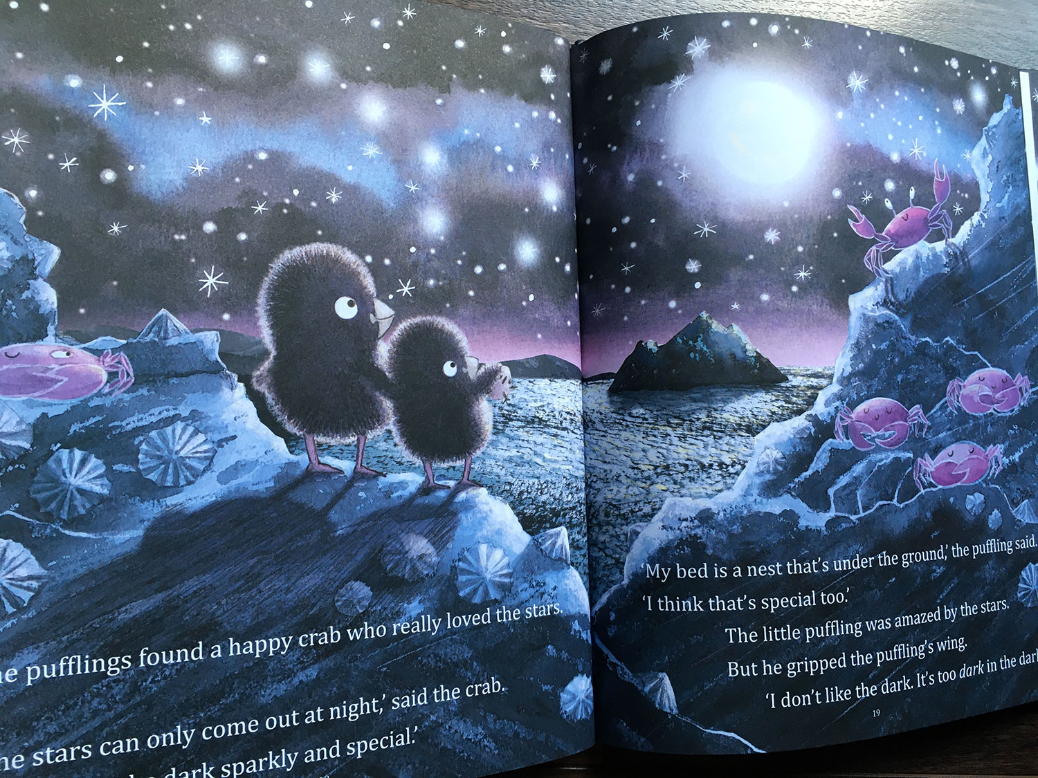 It's Too Dark, Puffling - scene where the two pufflings meet a crab who loves the stars