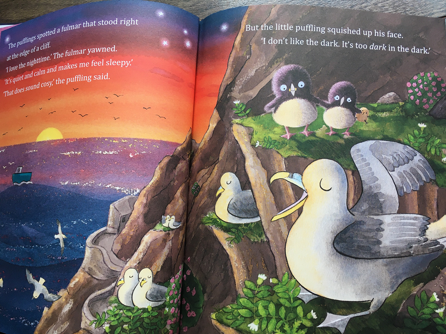 It's Too Dark, Puffling - scene where the pufflings meet a sleepy fulmar on the cliff edge