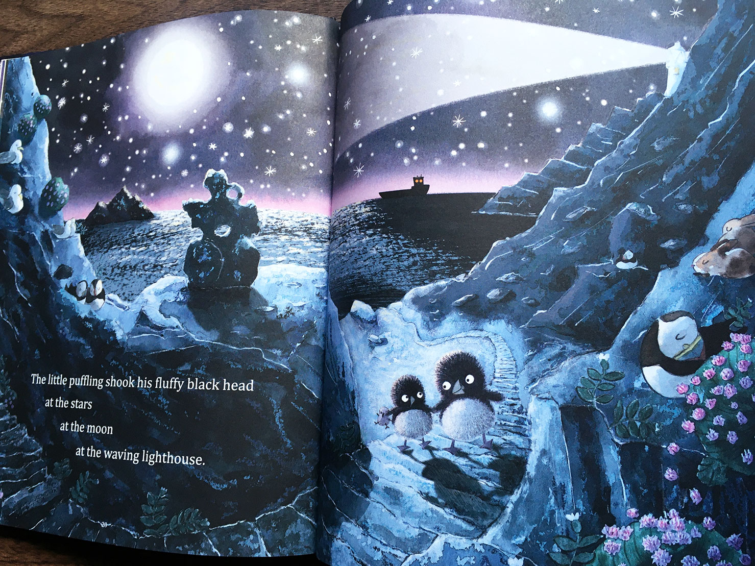 It's Too Dark, Puffling scene where the two pufflings walk in silence up the steps