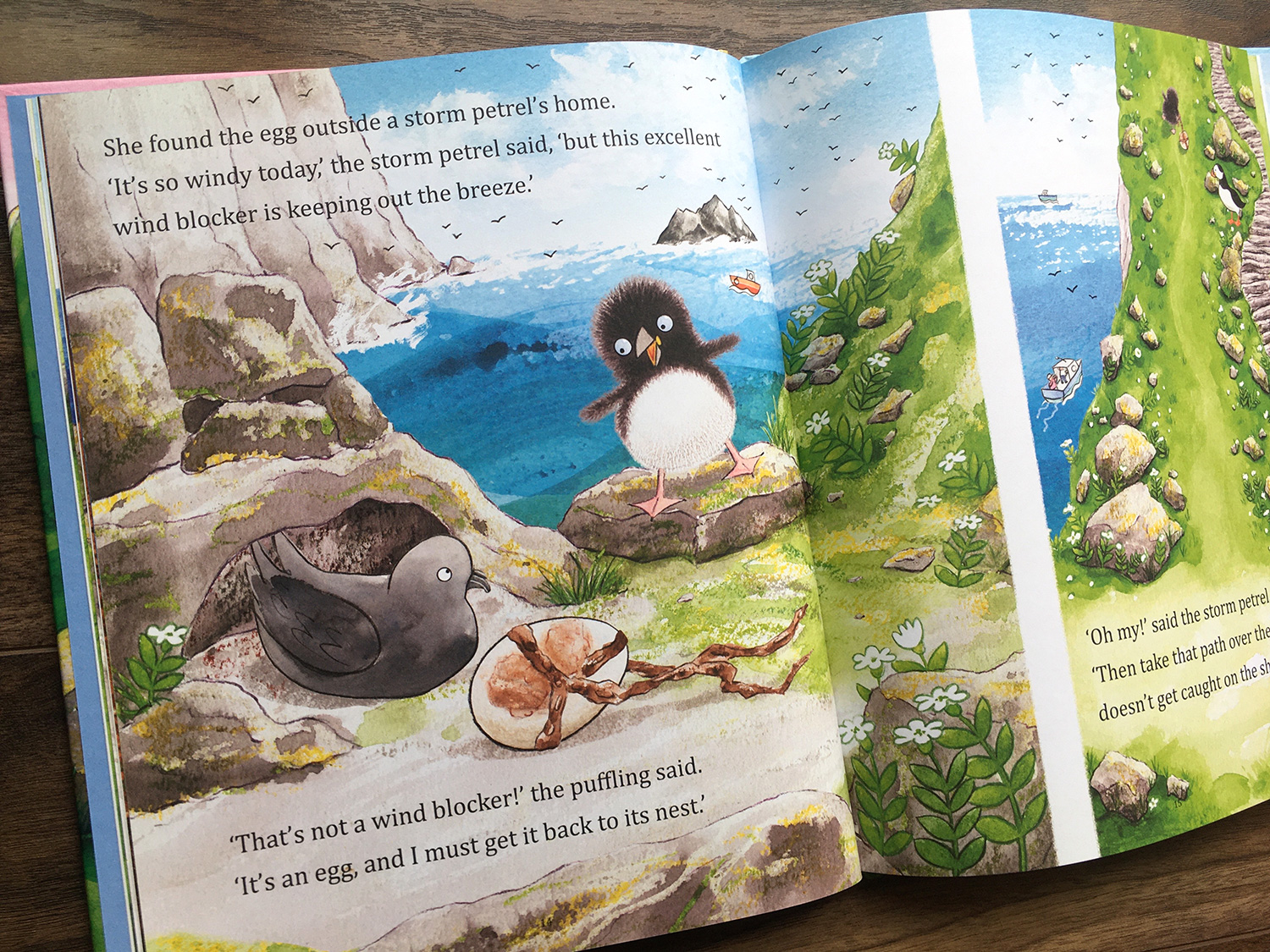Puffling And The Egg scene where Puffling meets a storm petrel