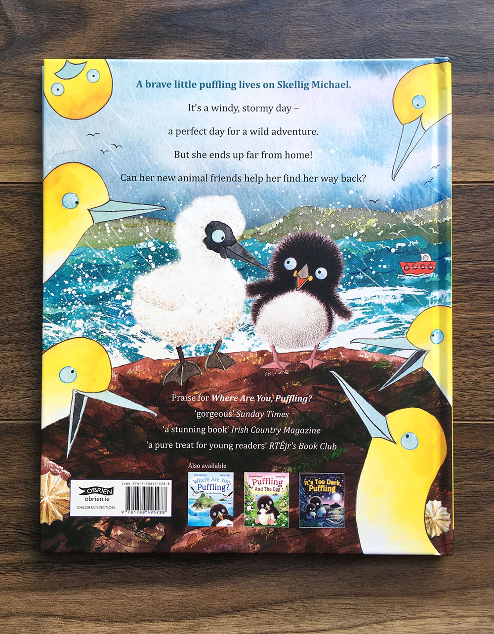 Puffling and the Stormy Sea back cover