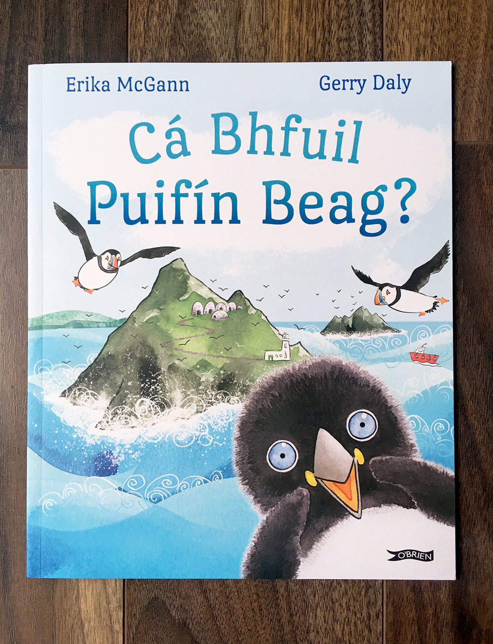Cá Bhfuil Puifín Beag? front cover