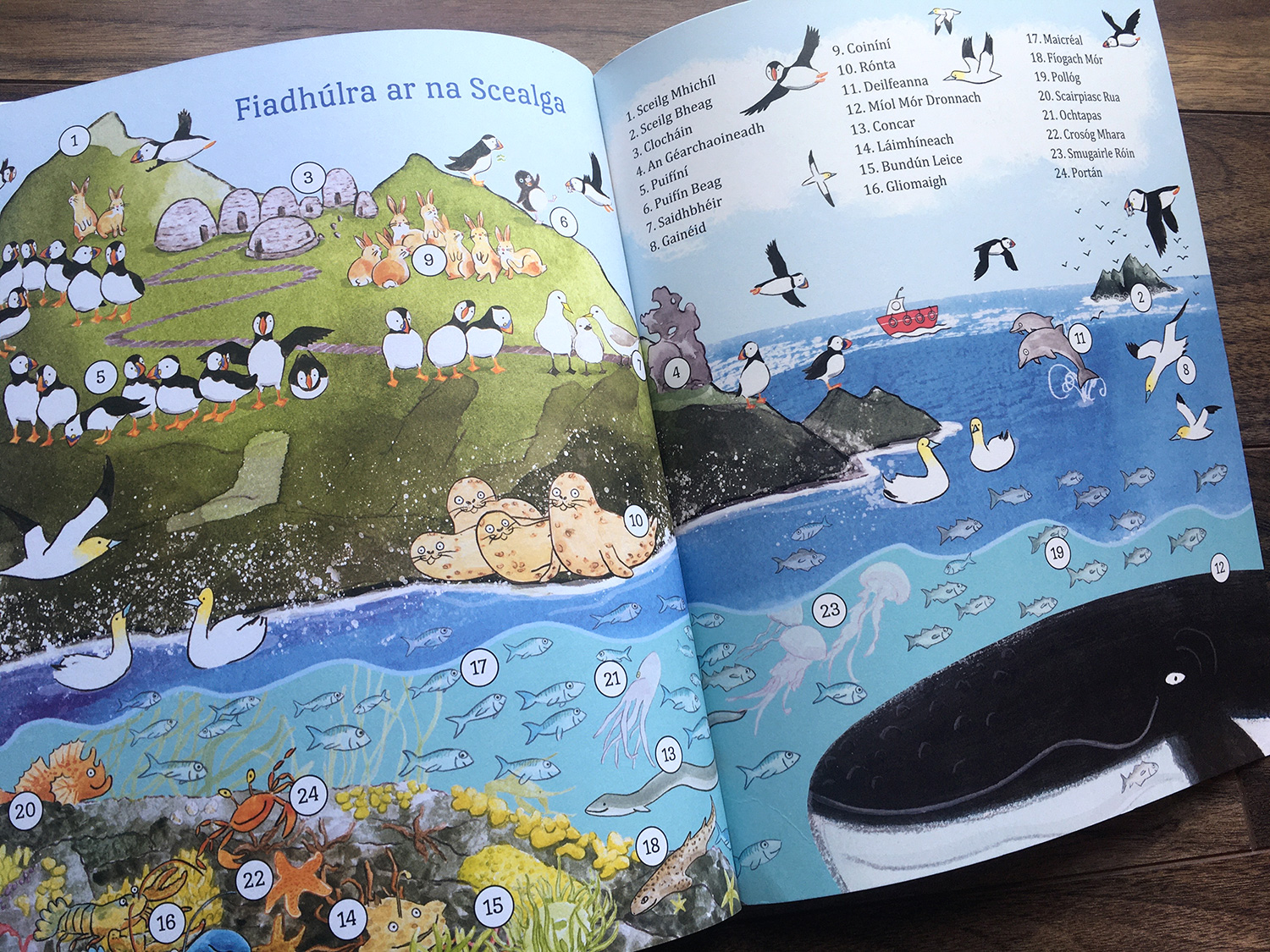 Cá Bhfuil Puifín Beag? Life on the Skelligs Islands endpapers
