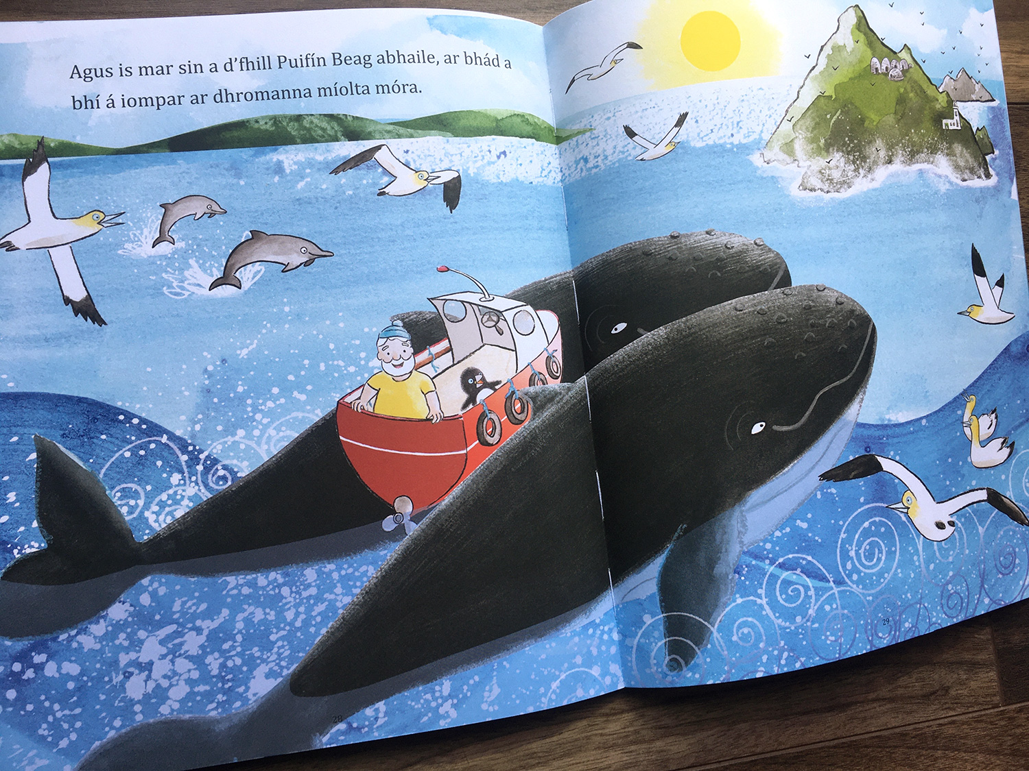 Cá Bhfuil Puifín Beag? scene where the boat with puffling is returned by whales back to Skellig Michael