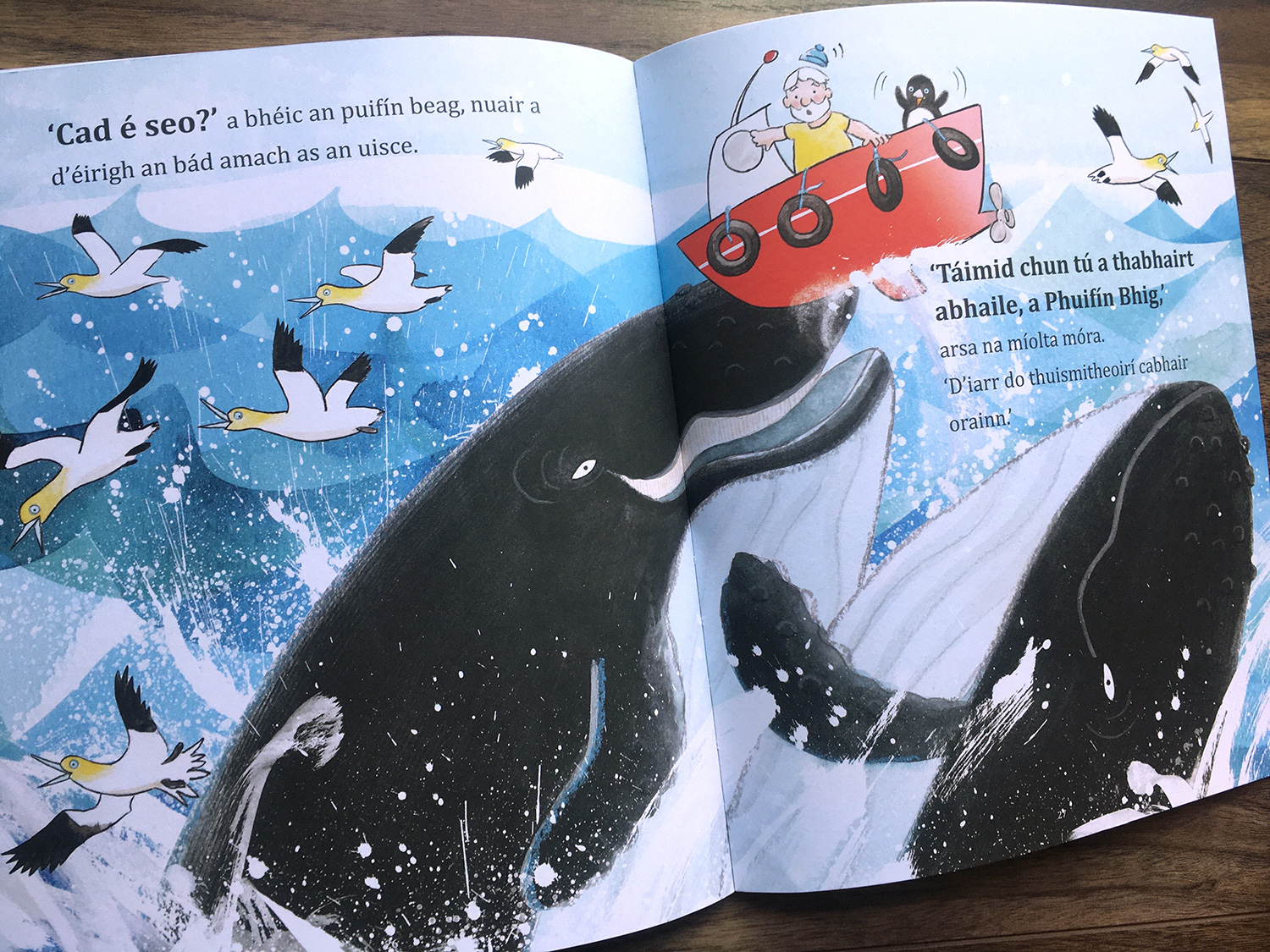 Cá Bhfuil Puifín Beag? scene where the whales rise high up with the boat carrying puffling