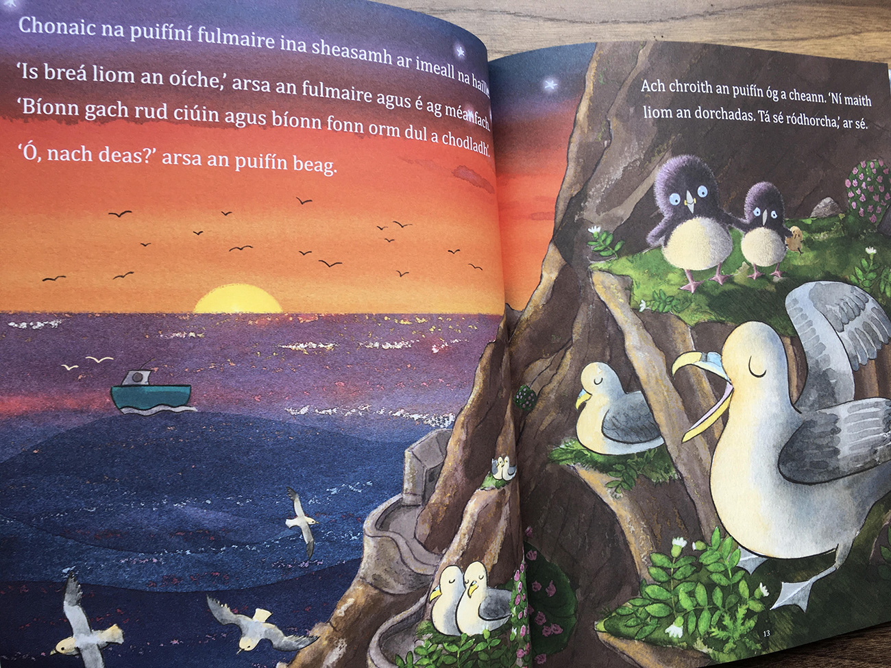It's Too Dark Puffling scene where the pufflings meet the fulmar on the cliff edge
