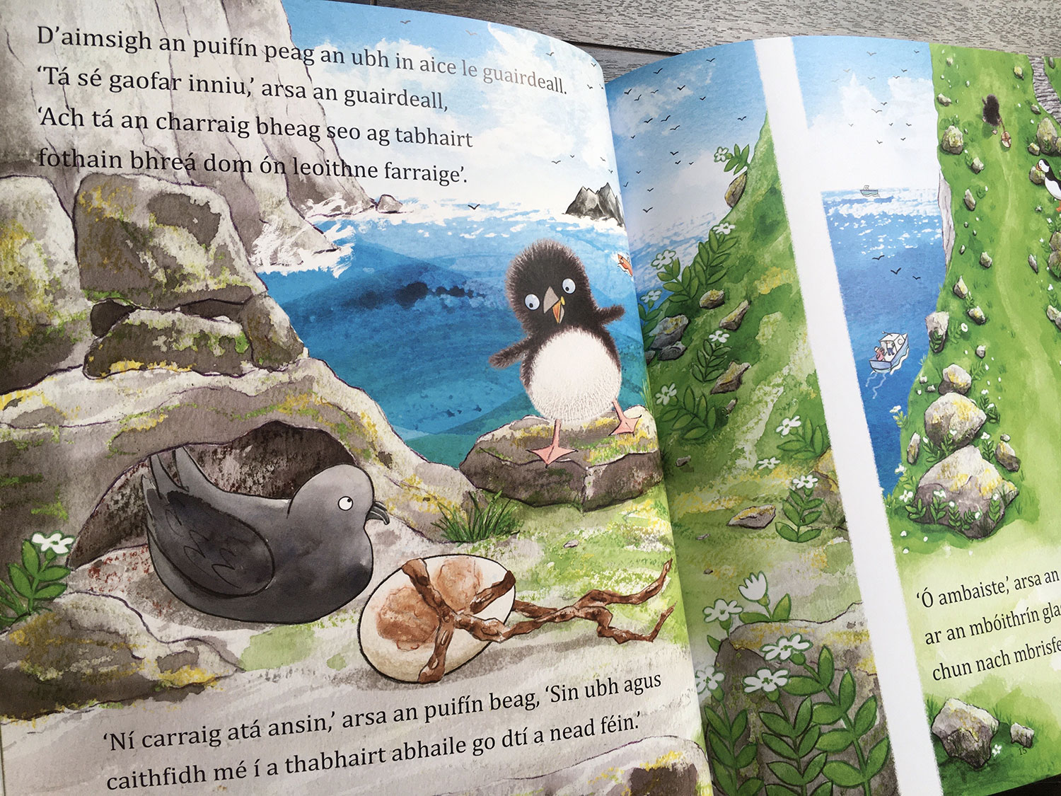 Puffling And The Egg scene where Puffling meets a storm petrel