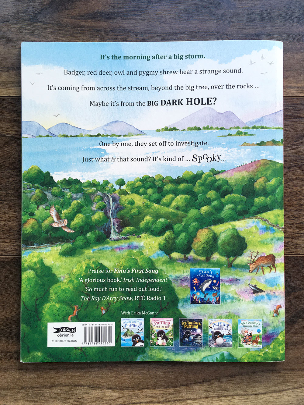 What's That Spooky Sound? back cover