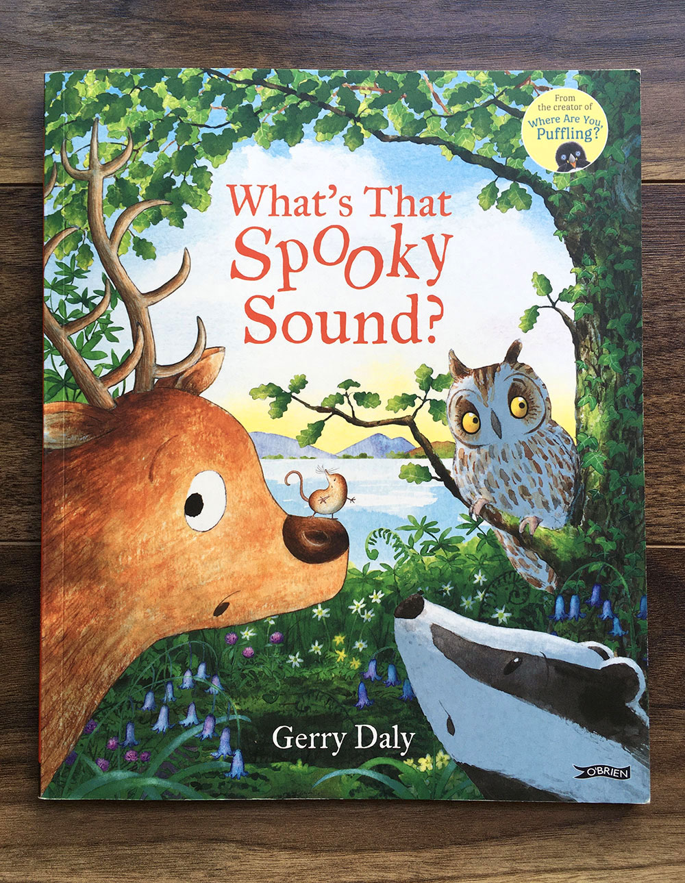 What's That Spooky Sound? front cover
