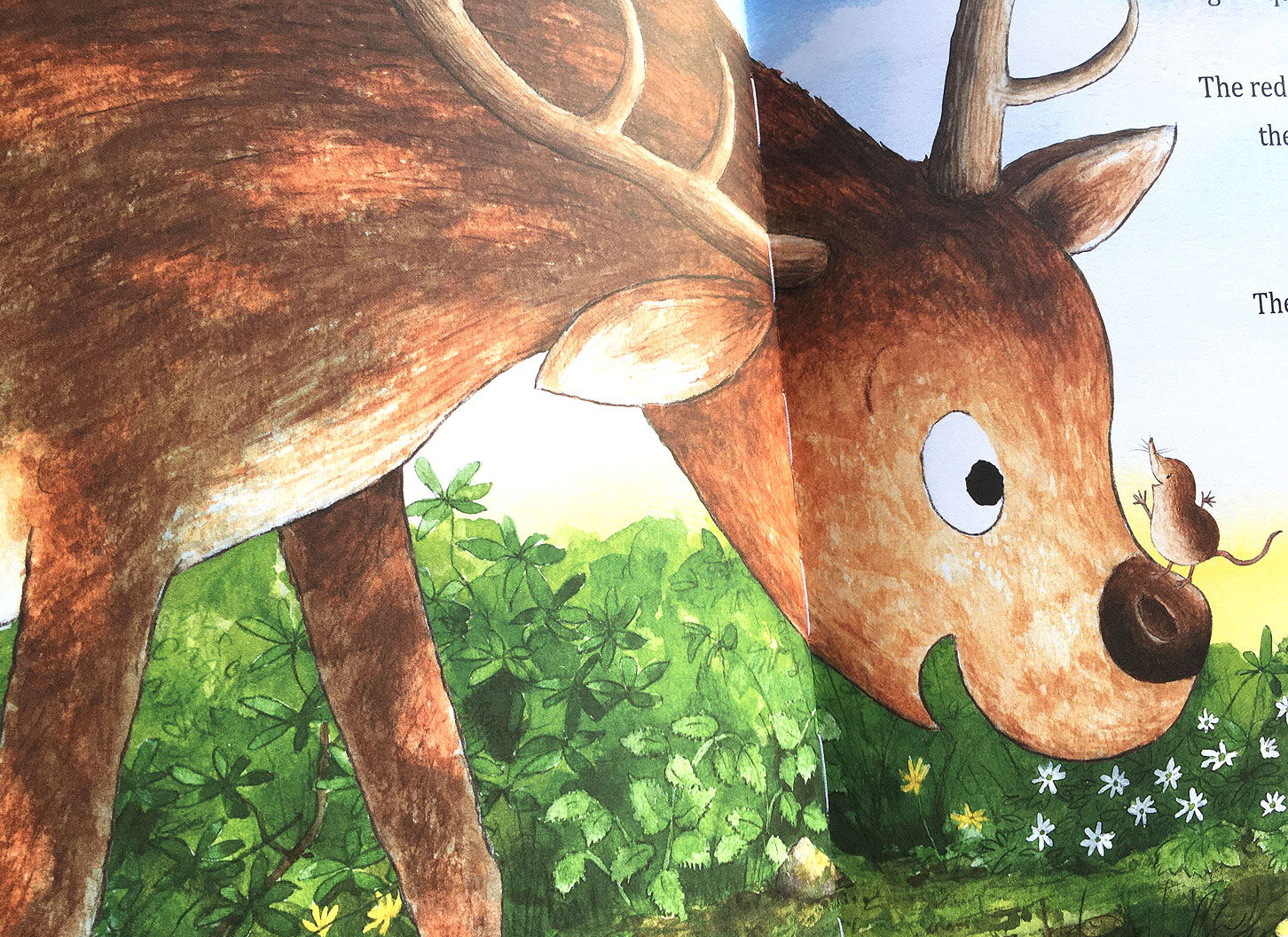 What's That Spooky Sound? the pygmy shrew tells the red deer that she will go and look