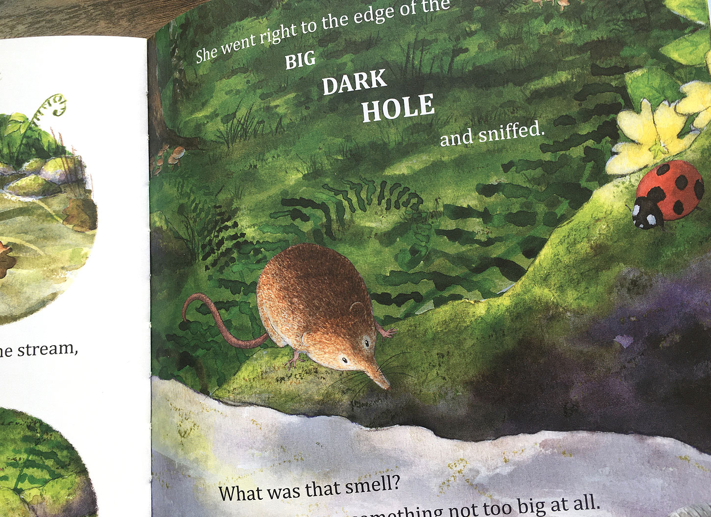 What's That Spooky Sound? the shrew goes right to the edge of the big dark hole